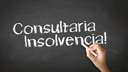 Image showing Bankruptcy Consulting (In Spanish)