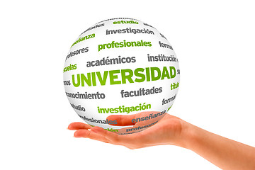Image showing 3d University Word Sphere (In Spanish)