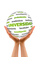 Image showing 3d University Word Sphere (In Spanish)