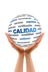 Image showing 3d Quality Word Sphere (In Spanish)