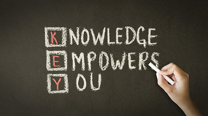 Image showing Knowledge Empowers You Chalk Illustration