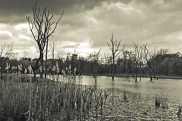 Image showing Cramlington lake