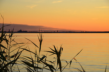 Image showing Summer evening