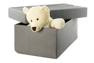 Image showing Teddy bear in a shoebox

