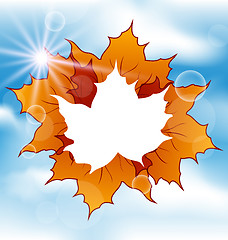 Image showing Autumn leaves maple with copy space