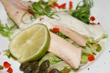 Image showing Salmon starter