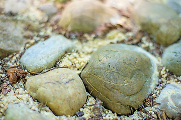 Image showing barefoot track