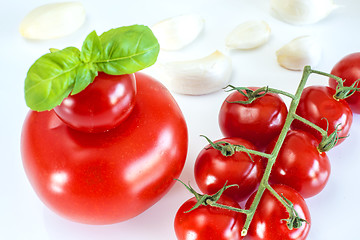 Image showing vine tomatoes