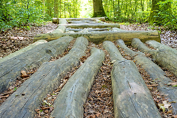 Image showing barefoot track