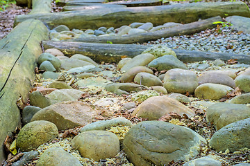 Image showing barefoot track