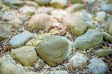 Image showing barefoot track