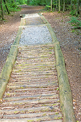Image showing barefoot track