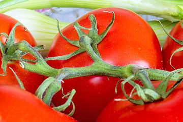 Image showing vine tomatoes