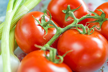 Image showing vine tomatoes