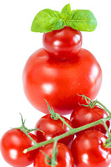 Image showing vine tomatoes