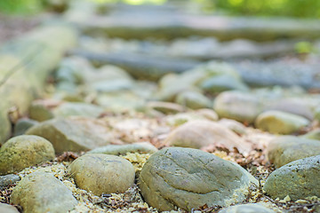 Image showing barefoot track