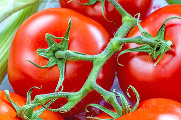 Image showing vine tomatoes