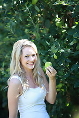 Image showing Young woman holding a green apple