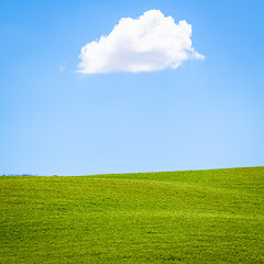 Image showing Green field in Tuscany