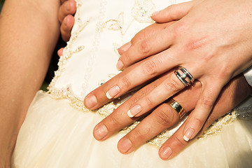 Image showing Romantic hands with wedding rings