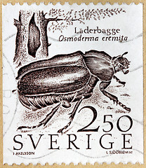 Image showing Hermit Beetle Stamp