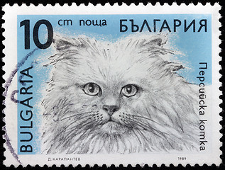 Image showing Persian Cat Stamp