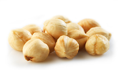 Image showing hazelnuts