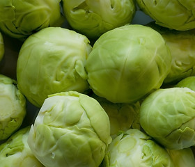 Image showing Brussels sprouts