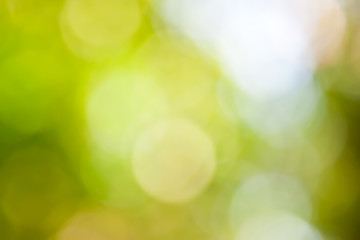 Image showing Bokeh