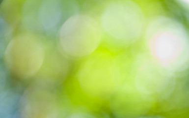 Image showing Bokeh