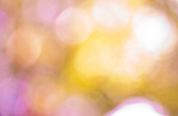 Image showing Bokeh