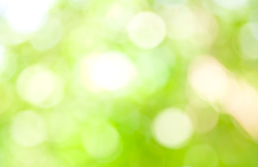 Image showing Bokeh