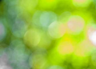 Image showing Bokeh