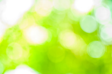 Image showing Bokeh