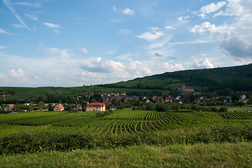 Image showing Alsace landscape and vinewyard