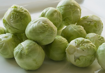 Image showing Brussels sprouts