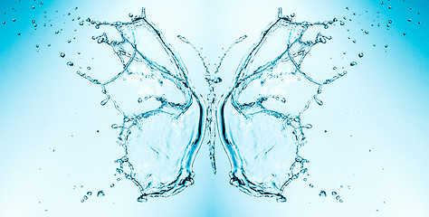Image showing Butterfly splashing water