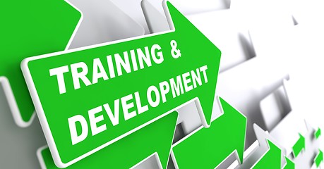 Image showing Training and Development. Education Concept.