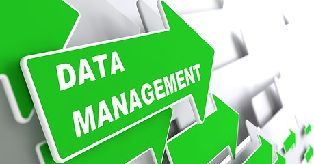 Image showing Data Management. Internet Concept.