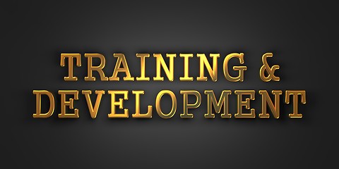 Image showing Training and Development. Business Concept.