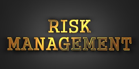 Image showing Risk Management. Business Concept.