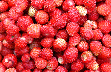 Image showing delicious strawberries