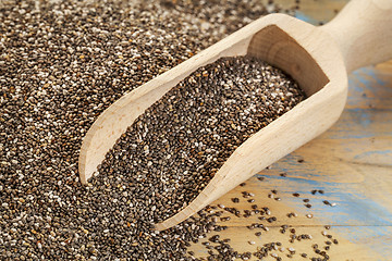 Image showing scoop of chia seeds