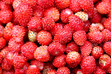 Image showing delicious strawberries