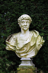 Image showing Marble bust