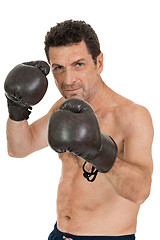 Image showing adult smiling man boxing sport gloves boxer isolated