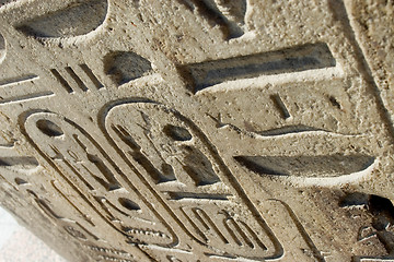 Image showing Hieroglyphics on the wall