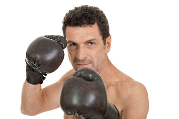 Image showing adult smiling man boxing sport gloves boxer isolated