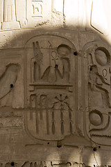 Image showing Hieroglyphics on the wall