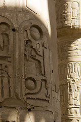 Image showing Hieroglyphics on the wall